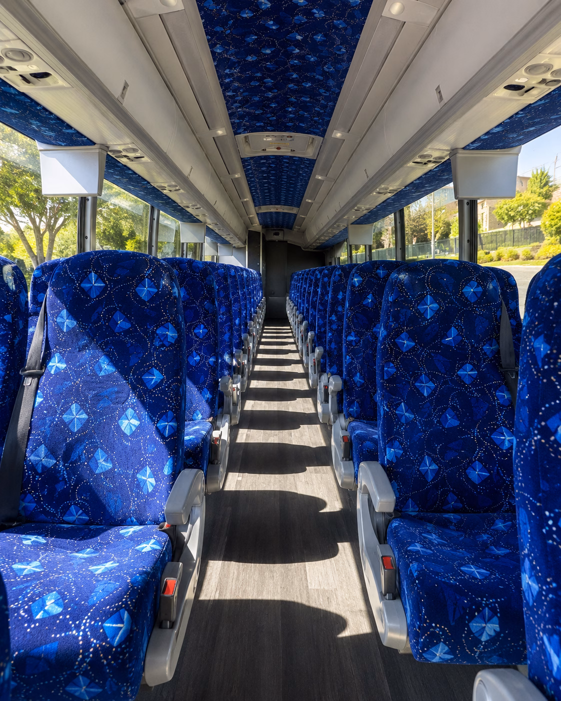 surprise charter bus tours to grand canyon national park and zion national park